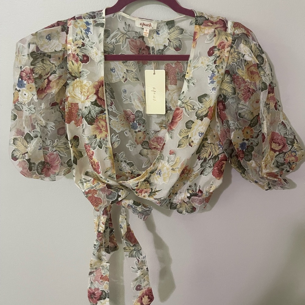 Shear crop top. Ties to the side of the shirt. Never worn.